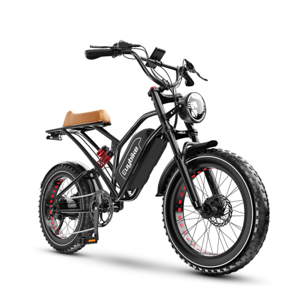 Euybike S4 Long Range Moped-Style Electric Bike eBike 1000W Motor 48V 25Ah